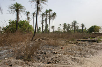 Land waar het project gebouwd wordt.