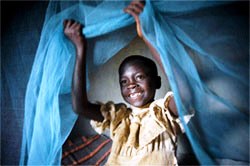 malaria netten” style=